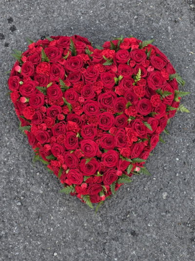 all red heart - all red roses and spray carnations with touch of foliage between all red heart - all red roses and spray carnations with touch of foliage between